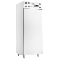 Armoire congelation 20x EN 600x400 statique (500 Lit.) - Skinplate blanc
