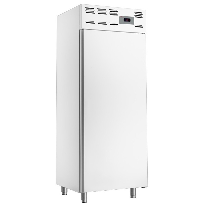 Armoire congelation 20x EN 600x400 statique (500 Lit.) - Skinplate blanc
