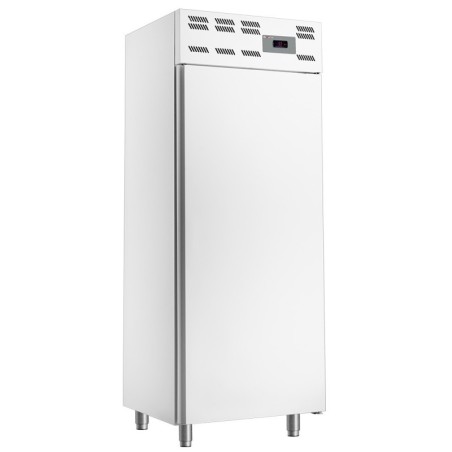 Armoire congelation 20x EN 600x400 statique (500 Lit.) - Skinplate blanc