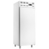 Armoire congelation 20x EN 600x400 statique (500 Lit.) - Skinplate blanc