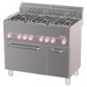 Fourneau 6 feux sur four à convection GN1/1 et armoire neutre