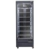 Vitrine Freezer verticale 560 litres  - NOIRE