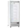 Vitrine Freezer verticale 560 litres  - BLANCHE